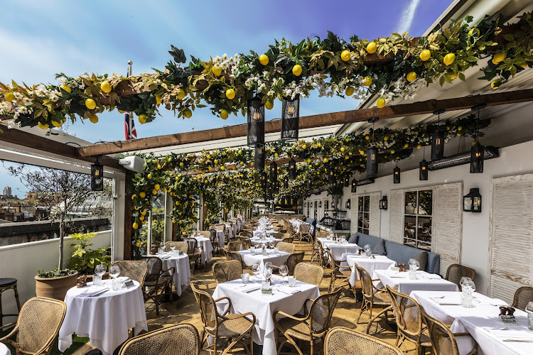 Alto by San Carlo | London restaurant