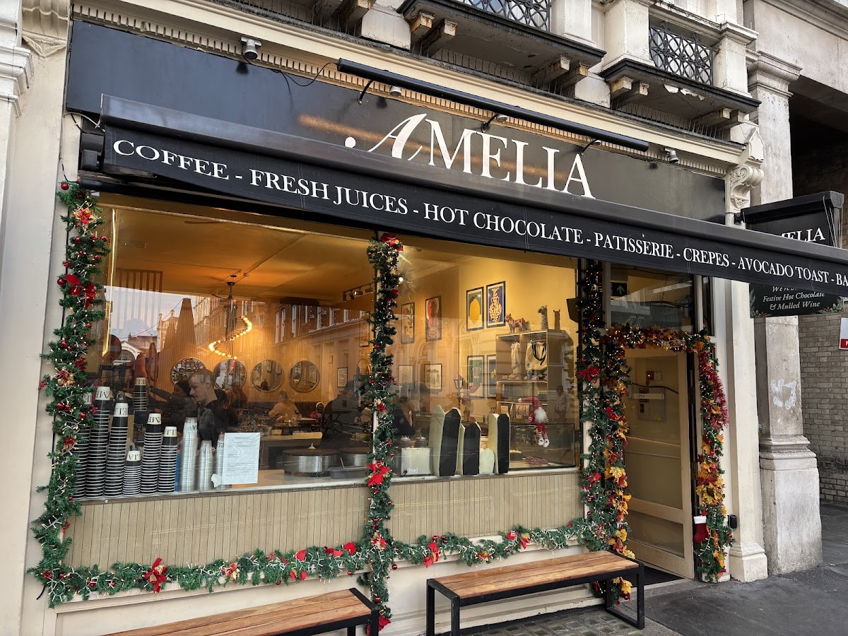 Amelia — photo 2