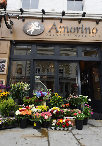 Amorino Gelato - London Chelsea restaurant