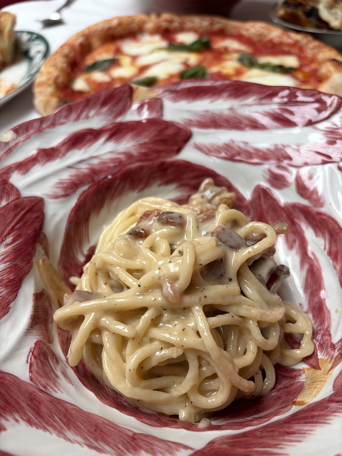 Ave Mario — photo 3