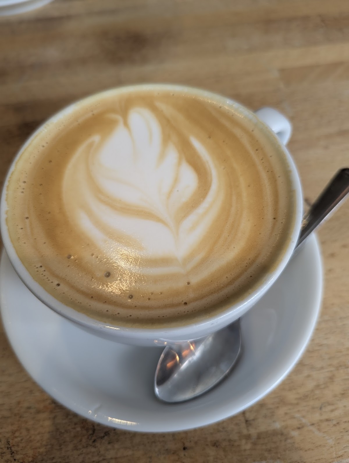 Bear + Wolf Cafe — photo 3