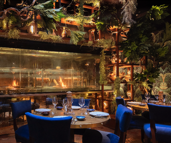 COYA Mayfair restaurant