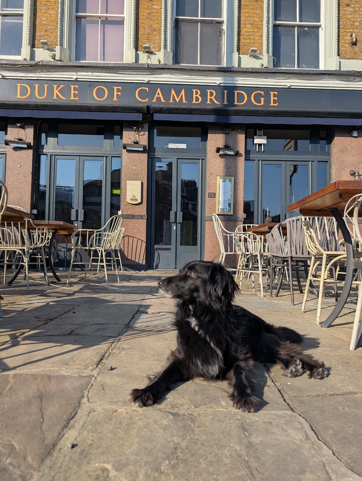 Duke of Cambridge — photo 3