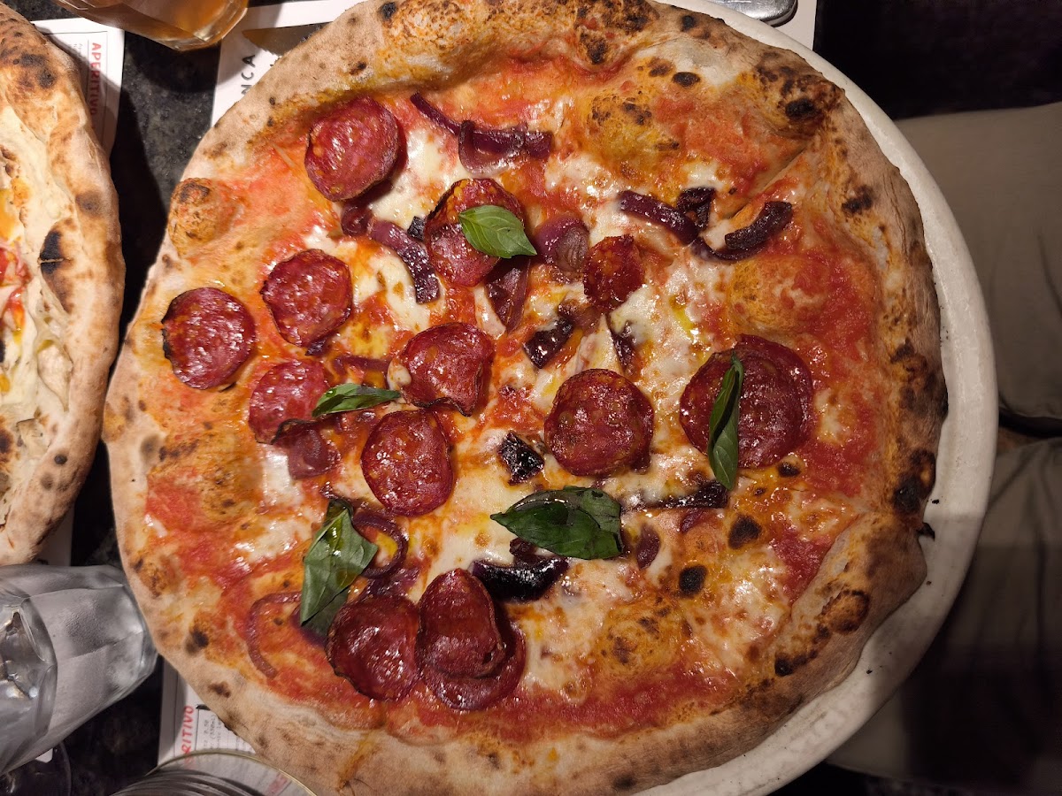 Franco Manca Russell Square — photo 2