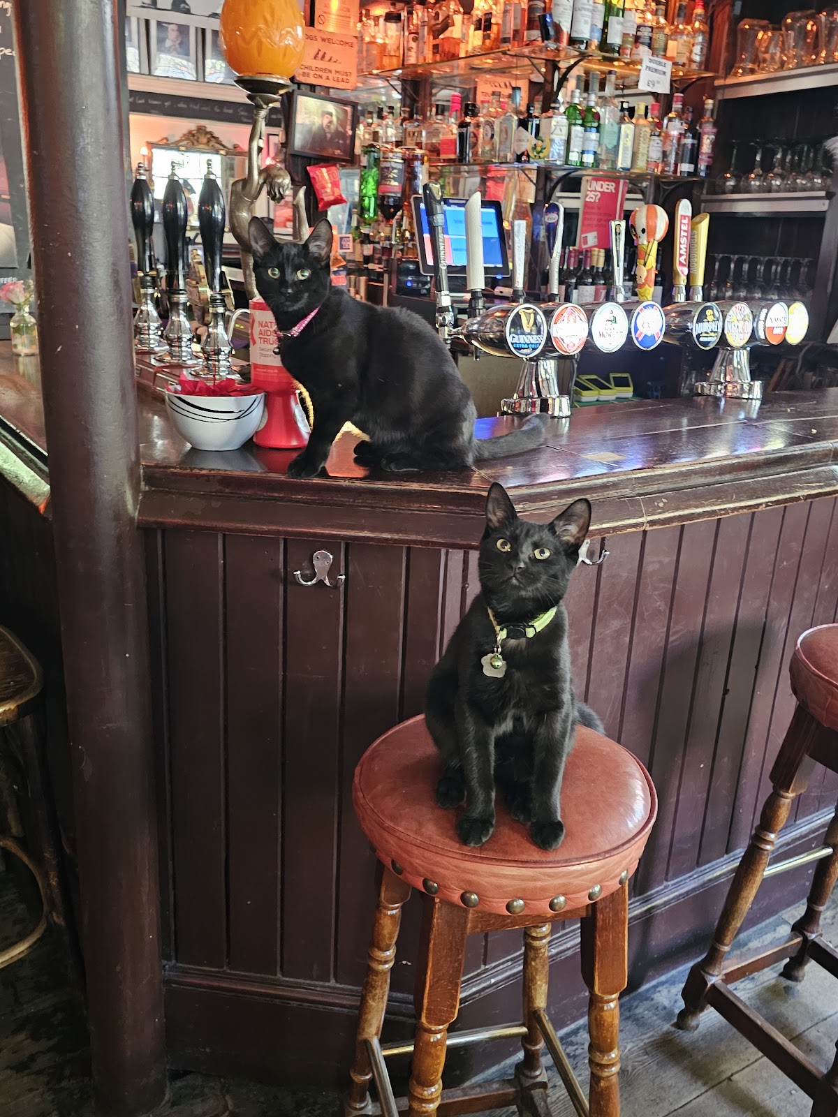 King William Ⅳ Pub & Rooms restaurant
