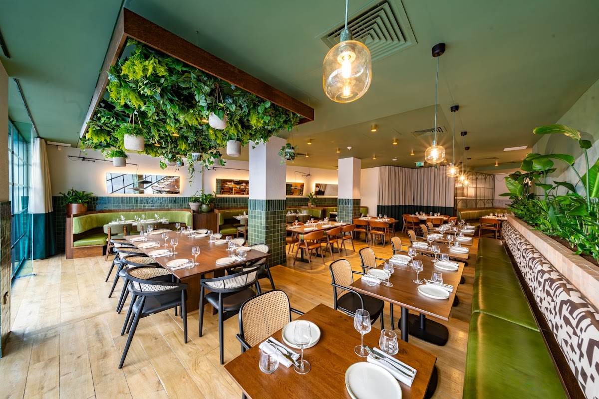 Olea Social restaurant