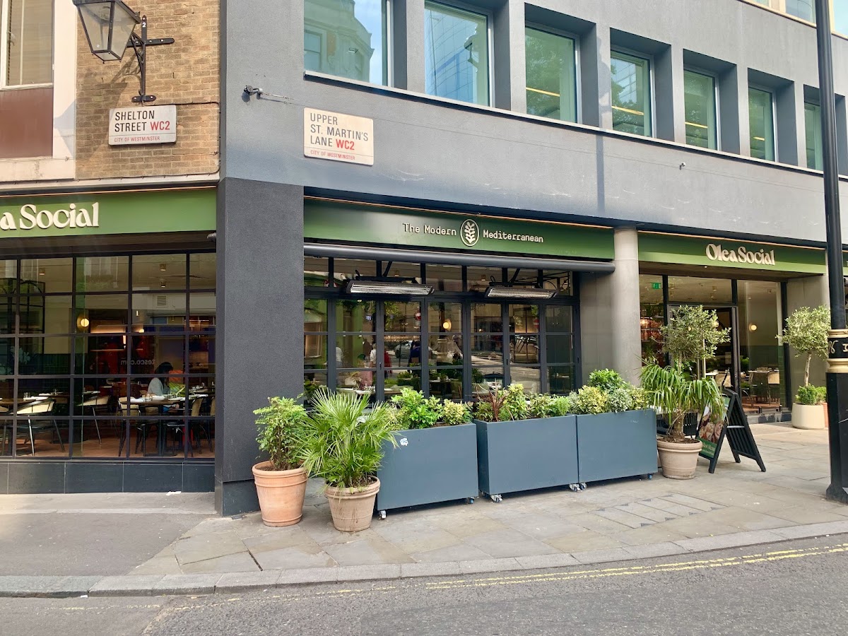 Olea Social — photo 3