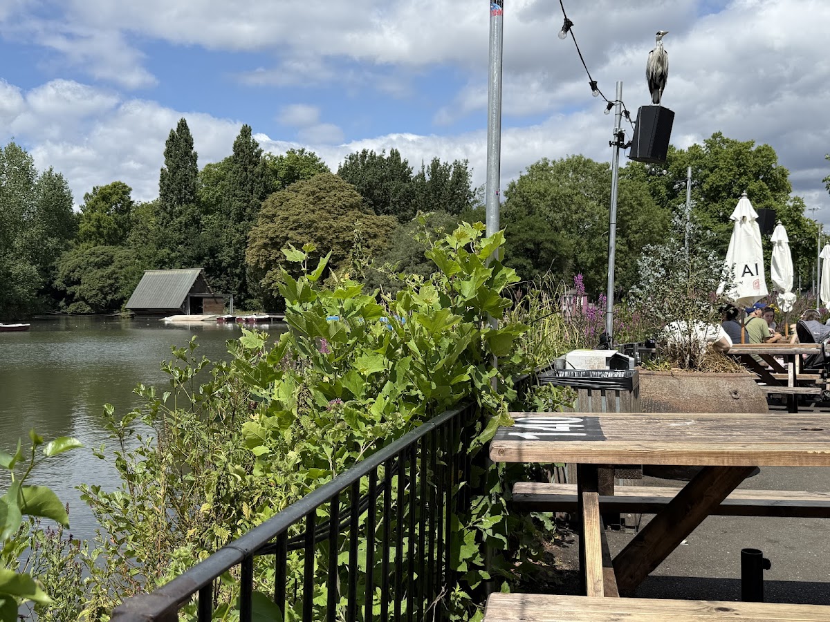 Pear Tree Cafe — photo 3