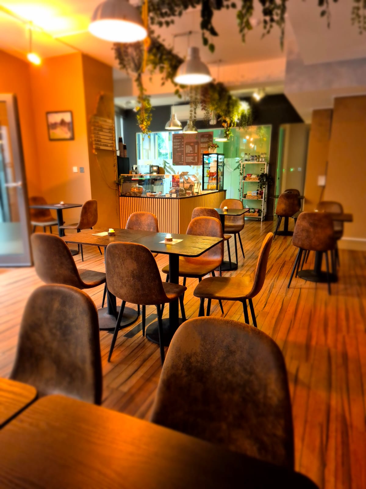 SalaSpark Ltd restaurant