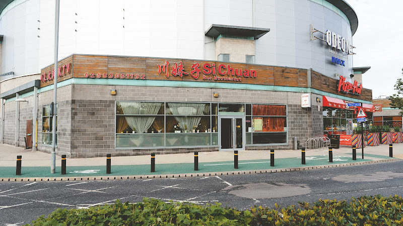 Sichuan Restaurant and Karaoke Bar restaurant