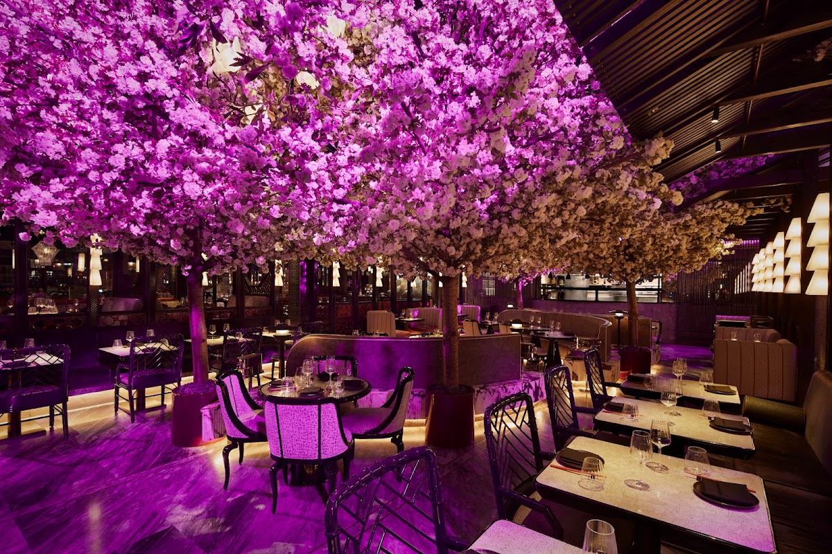 Tattu London restaurant