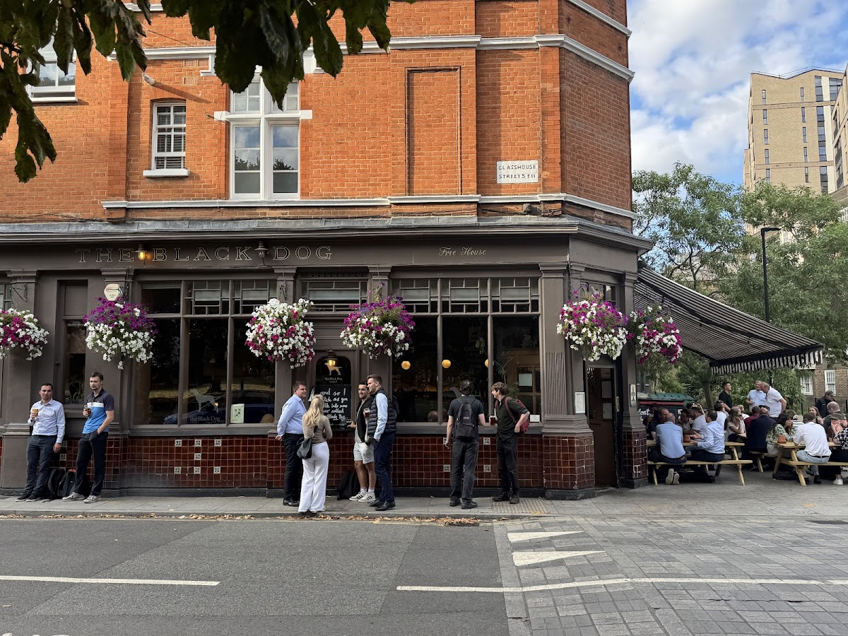The Black Dog — photo 3
