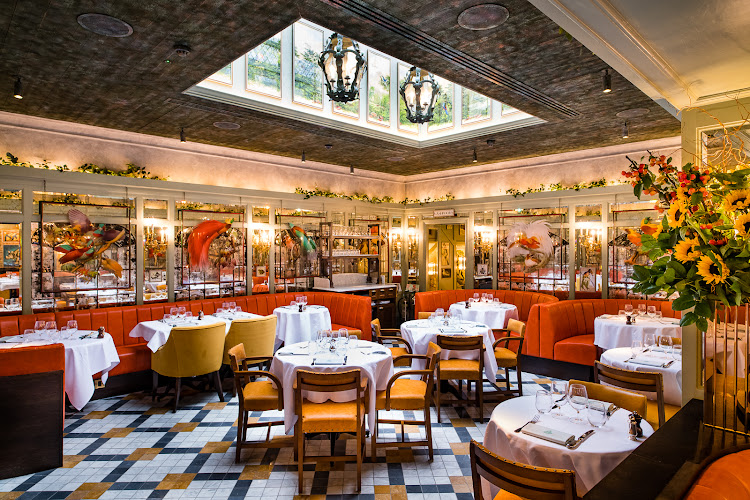 The Ivy St. John's Wood restaurant