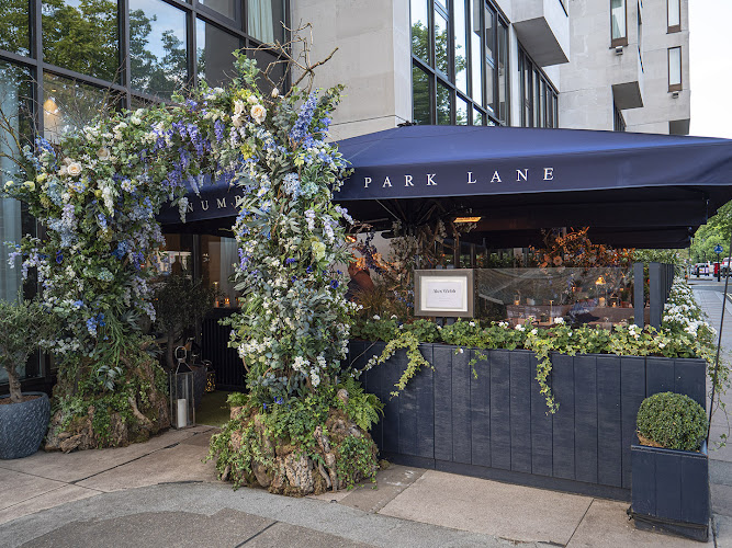Theo's on the Terrace restaurant