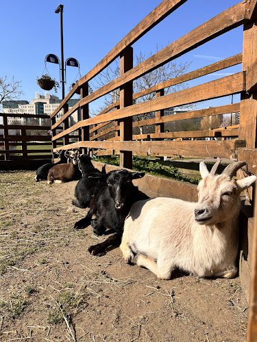 Vauxhall City Farm restaurant