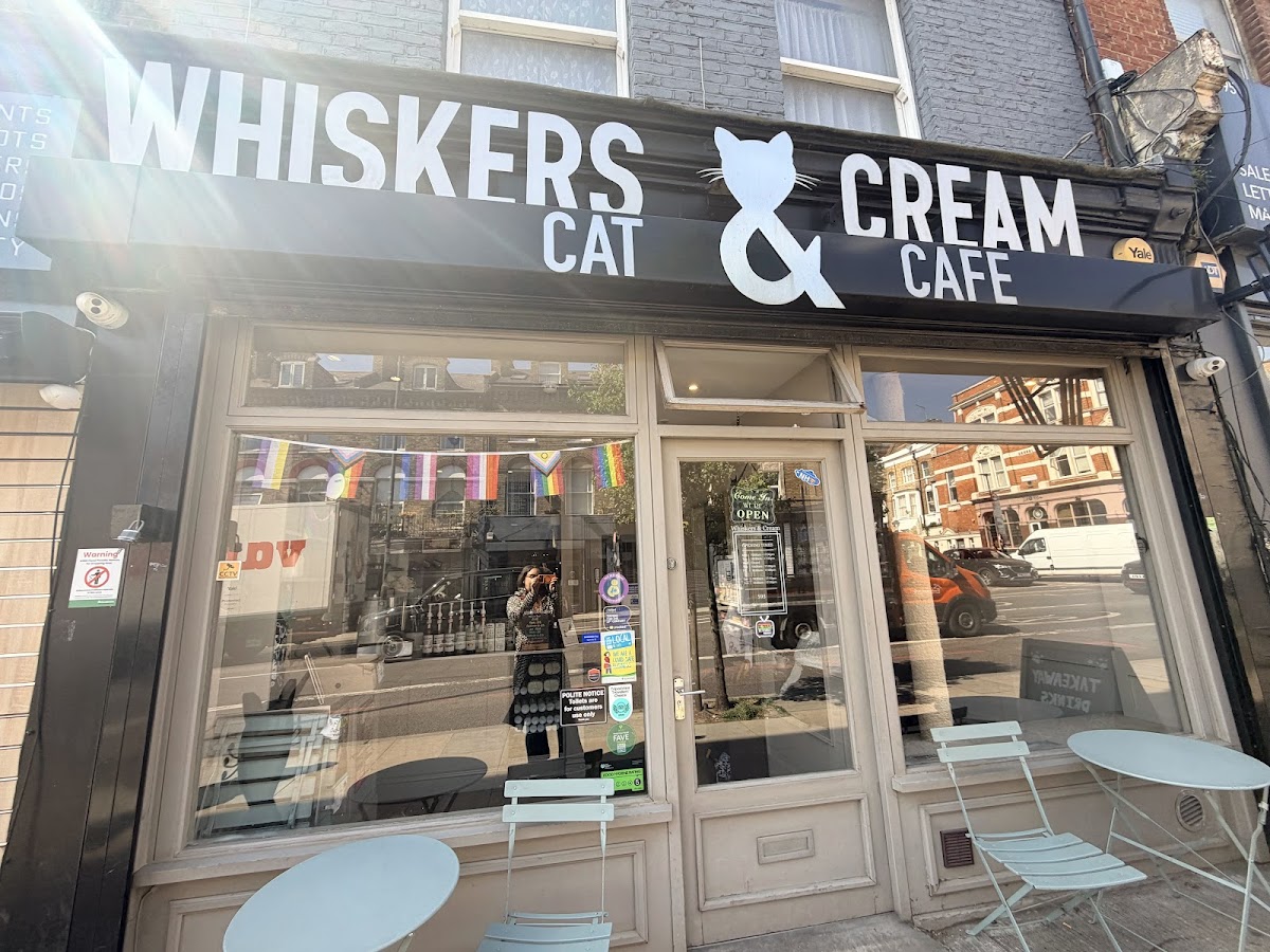 Whiskers & Cream Cat Cafe London restaurant